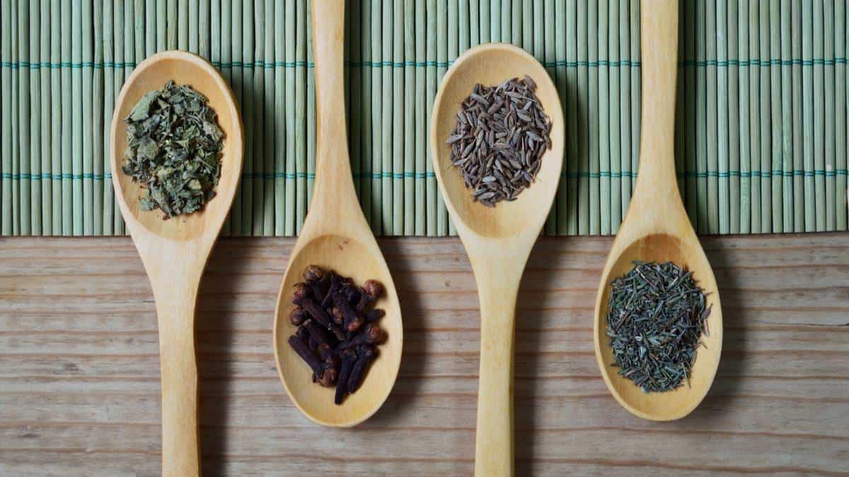 are wooden spoons safe to use