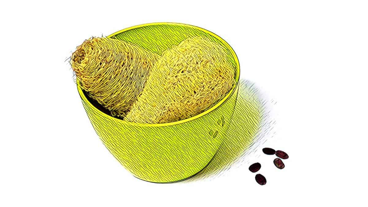 best back scrubber for men